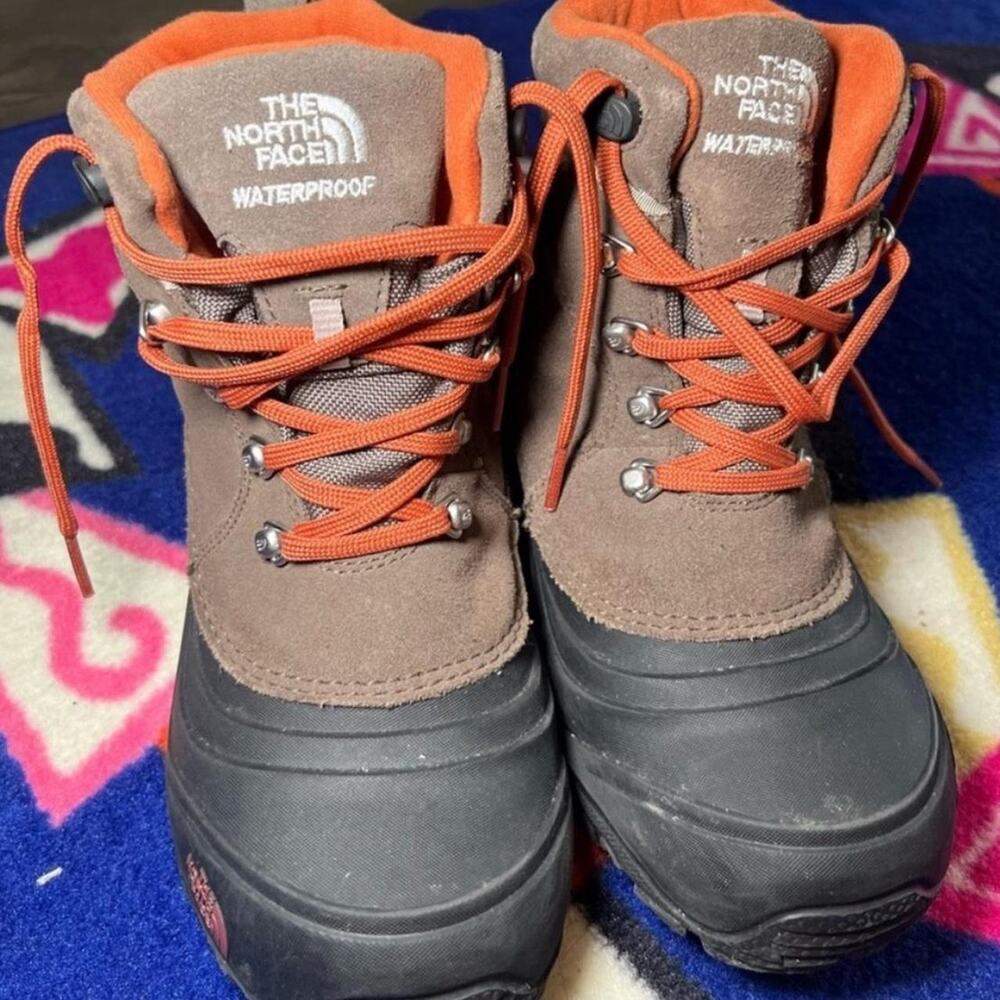 The north face brown and
